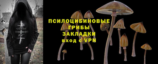 метадон Краснослободск