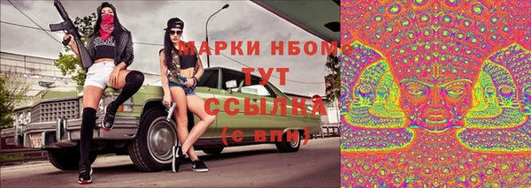 гидра Красноперекопск